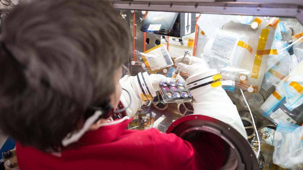 issrdc2023-whitson-onstation-cancer-research iss052e018944 (7 24 2017) NASA astronaut Peggy Whitson working with the Efficacy and Metabolism of Azonafide Antibody Drug Conjugates in Microgravity (ADCs in Microgravity). The ADCs in Microgravity investigation evaluates new antibody drug conjugates that combine an immune activating drug with antibodies in order to target only cancer cells, increasing the effectiveness of chemotherapy and reducing its side effects. In microgravity, cancer cells grow in three dimensional, spheroid structures that closely resemble their form in the human body, allowing for better drug testing. This investigation may accelerate development of targeted therapies for cancer patients.