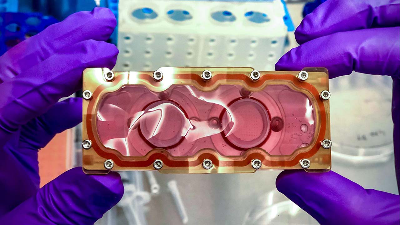 spx27-wu-stanford-biocell BioCell developed by BioServ Space Technologies that contain 162 beating cardiac spheroids derived from induced pluripotent stem cells (iPSCs).