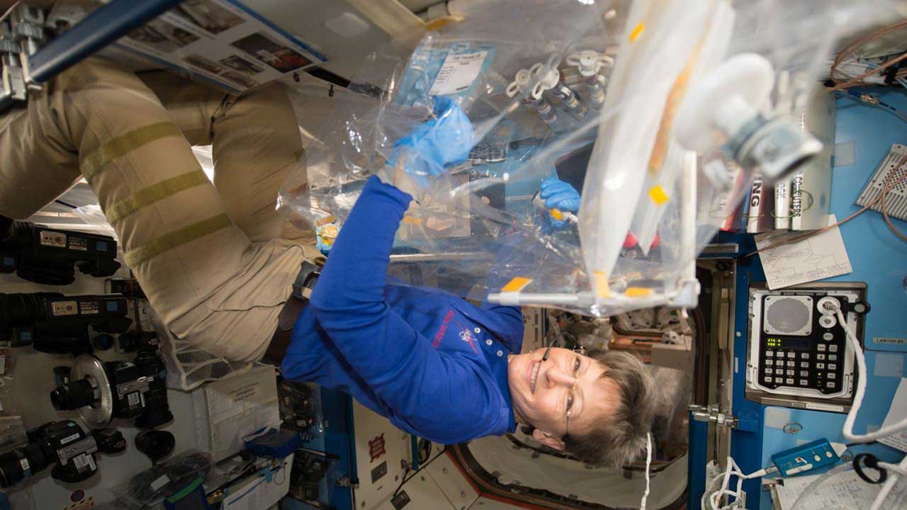 NASA astronaut Peggy Whitson is photographed performing an investigation that uses the microgravity environment of space to examine how stem cells differentiate into specialized heart cells (cardiac myocytes).