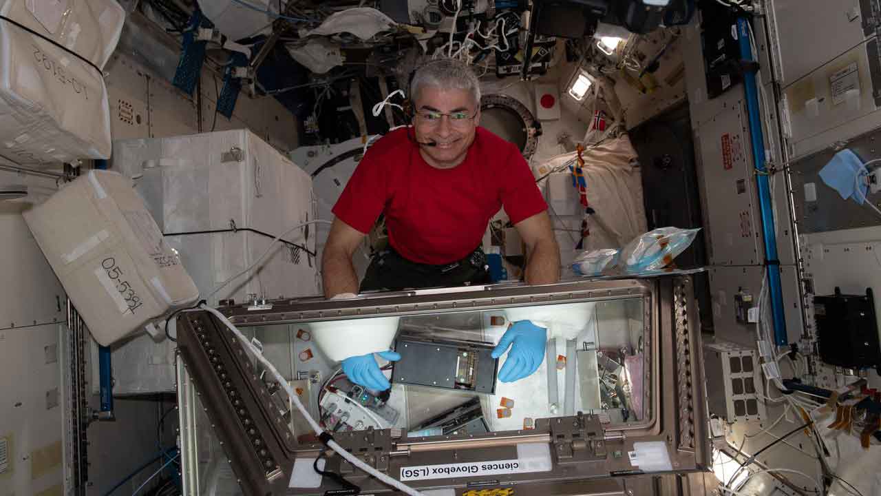 stem-cells-mark-vandehei-lsg NASA astronaut and Expedition 65 Flight Engineer Mark Vande Hei conducts research inside the Life Science Glovebox for the Kidney Cells-02 experiment that seeks to improve treatments for kidney stones and osteoporosis.